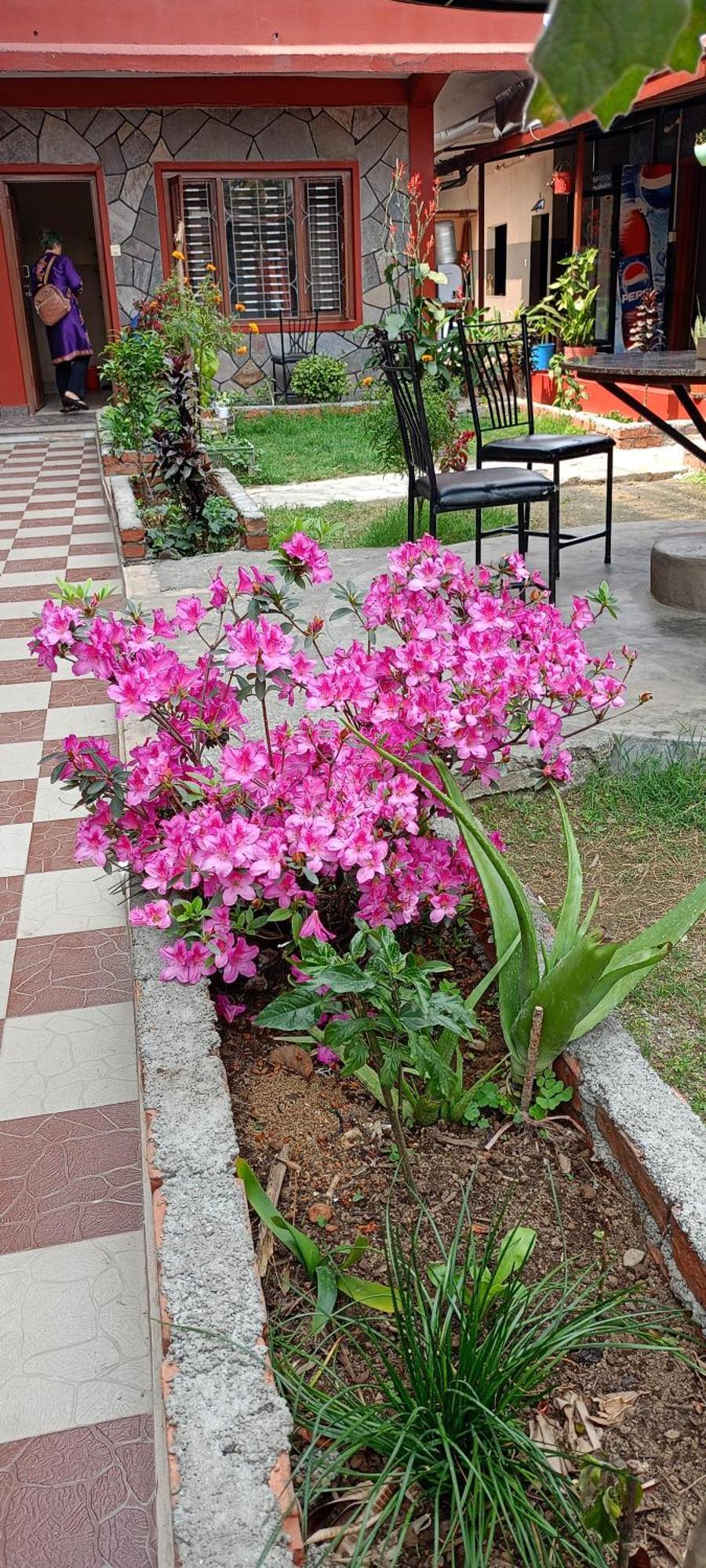Pokhara Metro Eco Hotel 외부 사진